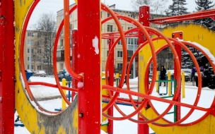 Губернатор Петербурга рассказал о принципе зонирования детских и спортивных площадок