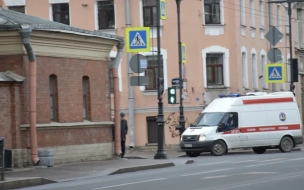 В Приморском районе школьники сломали позвоночник однокласснику