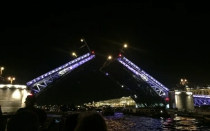 В этом году планируют завершить реконструкцию подсветки Дворцового моста
