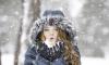 Жителей Ленобласти предупредили о гололеде и небольшом снеге 19 января