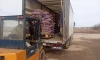 Ленобласть отправила на Донбасс 12 тонн картофеля для посевной