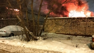 Пожар на проспекте Александровской фермы потушили спустя семь часов