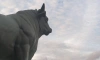 Жители Московского района собирают подписи на сохранение скульптур быков на историческом месте