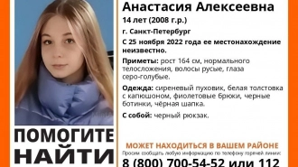 Волонтеры отряда "ЛизаАлерт" разыскивают 14-летнюю девочку в Петербурге, которая пропала 2 дня назад