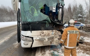 Более 400 человек погибли за год на дорогах Петербурга и Ленобласти