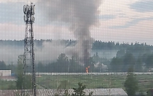 Ночью в Парголово горел сарай площадью 180 "квадратов"