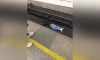 Стало известно, что произошло с мужчиной, упавшим на пути в метро Петербурга