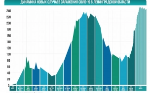 В Ленинградской области выявлено 244 новых случаев коронавируса