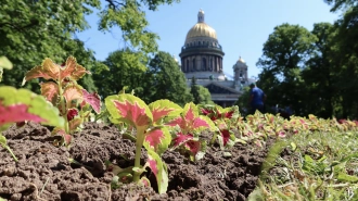 Петербуржцам пообещали отличную погоду на выходных