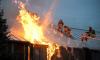 Житель Новосибирска предстанет перед судом за сожжение 63 дачных домов