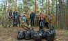Более 115 кубометров мусора собрали сотрудники лесного хозяйства Ленобласти в 2023 году