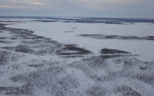 В Ленобласти 28 января будет морозная погода