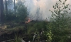 Лесной пожар в Сосновом Бору потушат через 2-3 дня