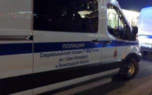 На проспекте Ветеранов задержан мужчина, избивший сожительницу