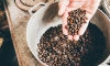 Кофе вместо песка и реагентов: сможет ли прижиться в Петербурге экологичная идея против гололеда