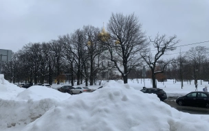 Перед выходными в Ленобласти ожидается снег и +1 градус