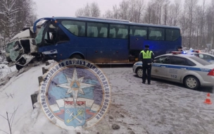 На трассе 41К-125 в Ленобласти столкнулись автобус и грузовик