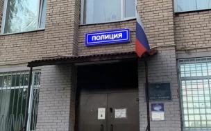 В Петербурге 17-летний турист выстрелил в пенсионера из окна отеля