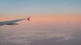 "Белавиа" и Turkish Airlines прекращают перевозить ...