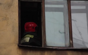 В пожаре в Лужском районе Ленобласти погибли двое