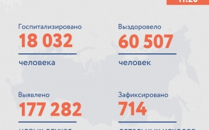 В России за сутки впервые выявили более 177 тыс. заразившихся COVID-19