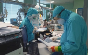 За последние сутки в Ленобласти выявили 153 новых случая заболевания коронавирусом
