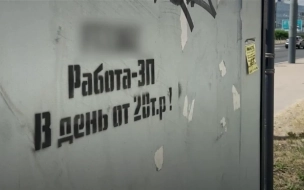 С дорог Ленобласти убрали более 6 тыс. вывесок с незаконной рекламой