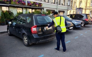 В Петербурге за 9 месяцев на платной парковке зафиксировали 54 тысячи авто с закрытыми номерами