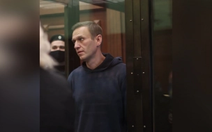 ФСИН просит суд заменить условный срок Навальному на 3,5 года колонии и 500 тысяч штрафа