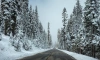 В Ленобласти 9 декабря пройдёт снег