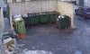 Система автоматического определения мусора тестируется во дворах Петербурга 