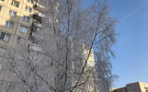 Петербуржцам пообещали рождественские морозы до -20 градусов