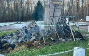 В Сестрорецке построят новый шалаш Ленина на месте сгоревшего