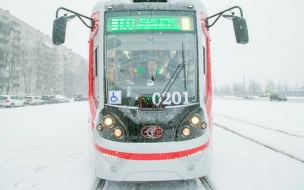До конца января закроется движение трамваев по улице Коллонтай