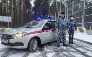 Полицейские задержали петербуржца, который похитил сына бывшей жены