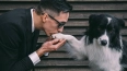 Пёс Хьюстон набирает сотни тысяч лайков в TikTok