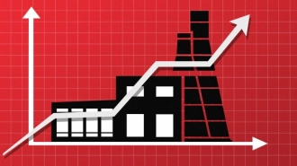 Показатели инфляции в Ленобласти замедляются второй месяц подряд