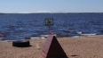 Пляжи в Ленинградской области готовят к открытию летнего...