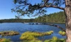 Вдоль Финского залива в этом году откроют новую экотропу