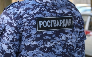 В Петербурге задержан мужчина, стрелявший из окна в прохожую