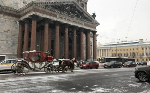 В Петербурге ожидается постепенное понижение температуры