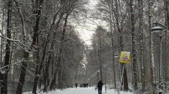 В Петербурге пройдет реконструкция Удельного парка