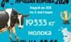 Лучшую корову 2024 года определили на племенном заводе "Первомайский"