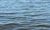 В Петербурге признано пригодным для купания только Среднее Суздальское озеро