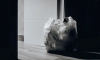 В Ленобласти запустили онлайн-сервис для проверки легального вывоза мусора из СНТ