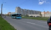Автобусы на маршрутах №260 и №269 в Петербурге заменят с 5 августа