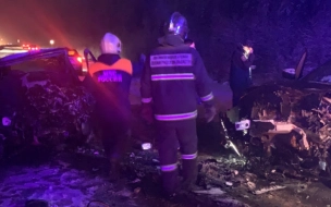 В результате ДТП под Гатчиной погиб водитель "Форда"