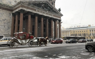 В Петербурге 30 декабря пройдет сильный снег