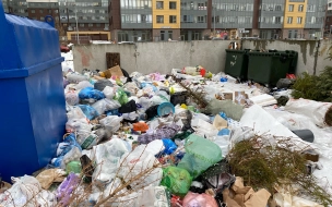 Дополнительные мусоровозы вышли на линии в Петербурге. В феврале их ждет подкрепление