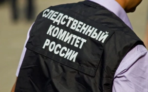 СК возбудил уголовное дело по факту опрокидывания судна в Кировском районе